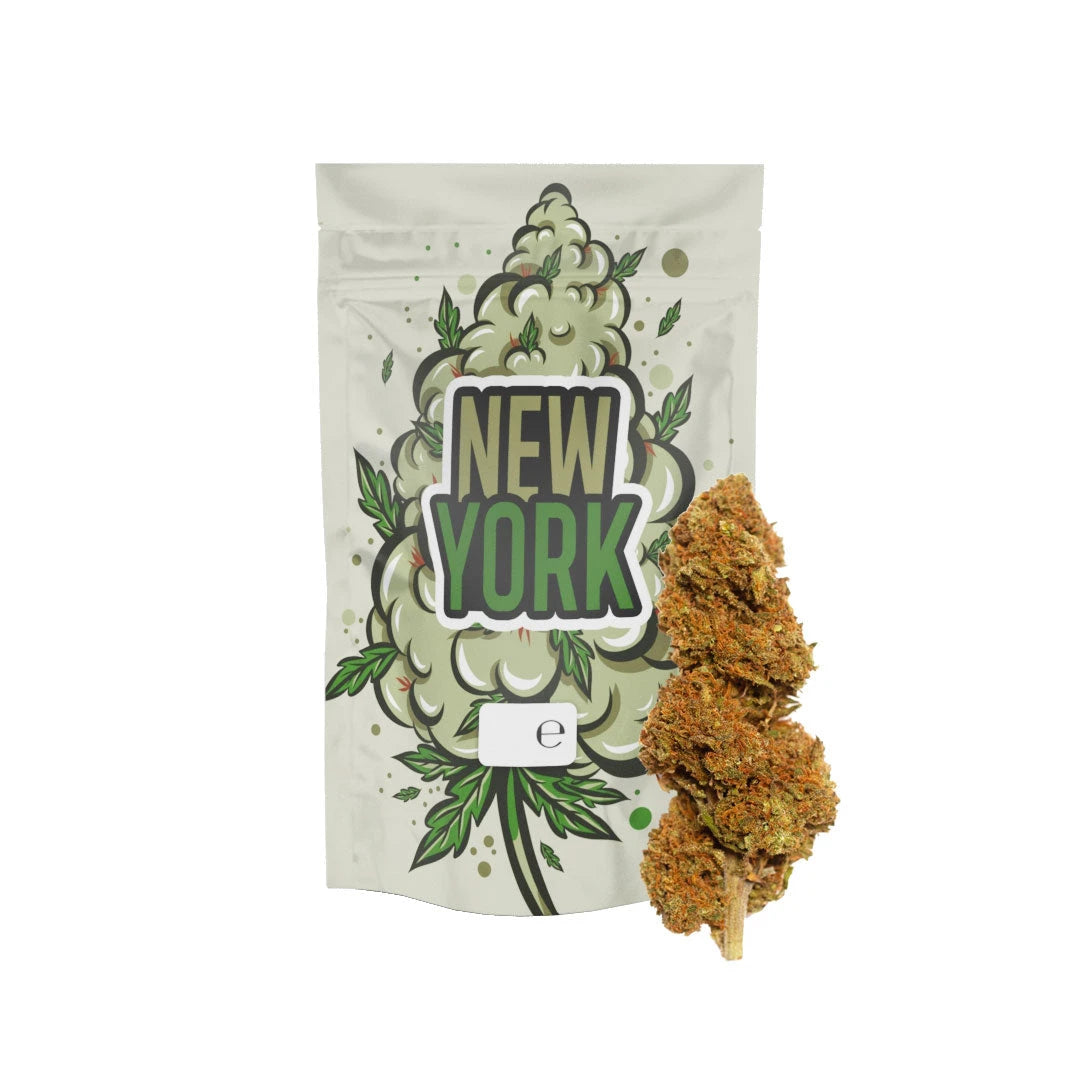 10GR - New York Diesel - Oferta