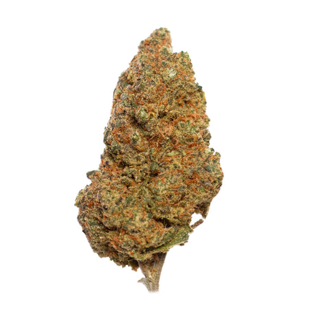 flor cbd blueberry hidroponica