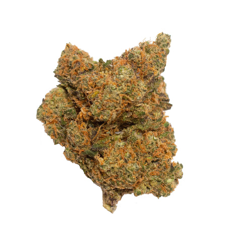 cbd blueberry hidroponica