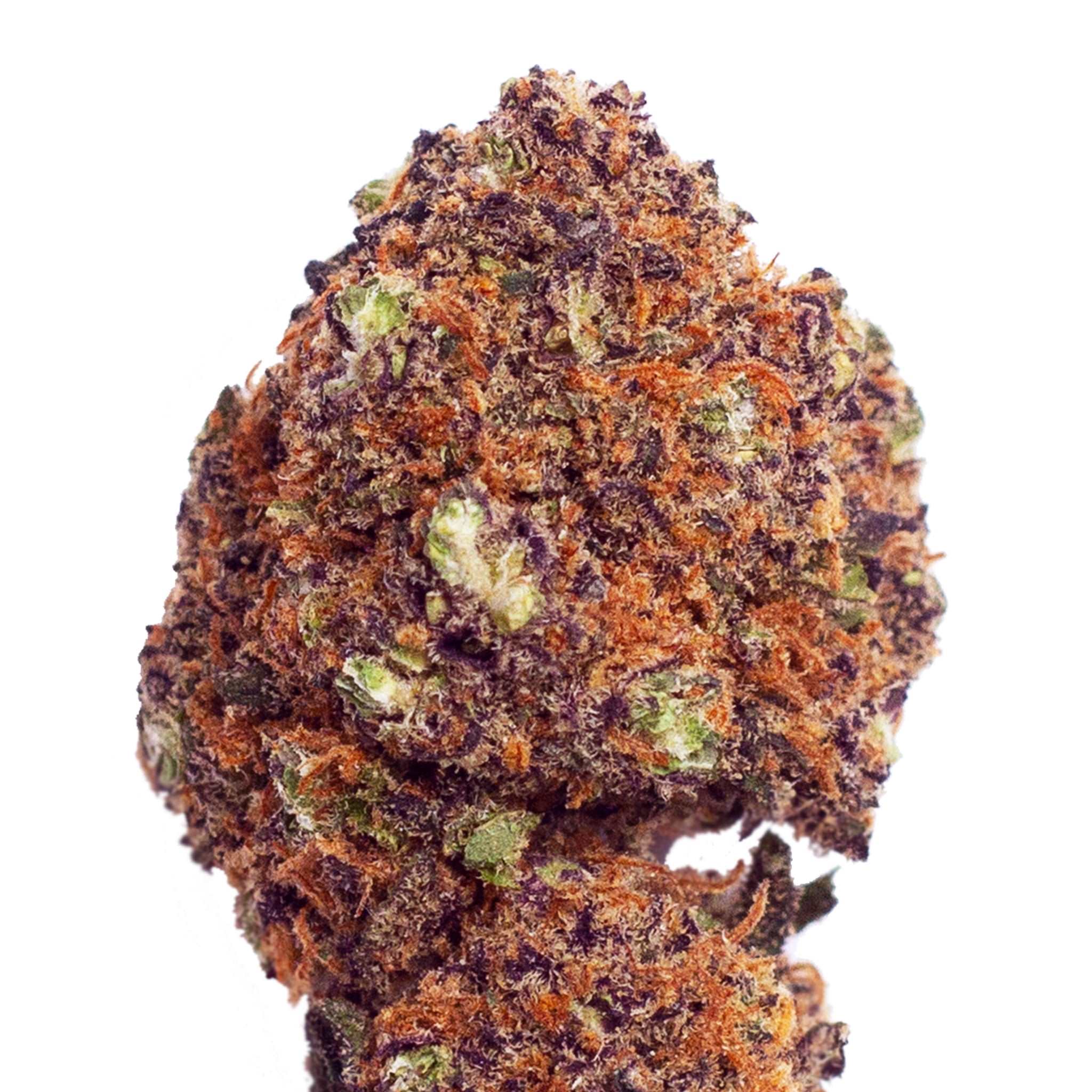 Purple Haze (hydroponics) - CBDream